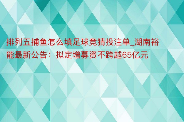 排列五捕鱼怎么填足球竞猜投注单_湖南裕能最新公告：拟定增募资不跨越65亿元