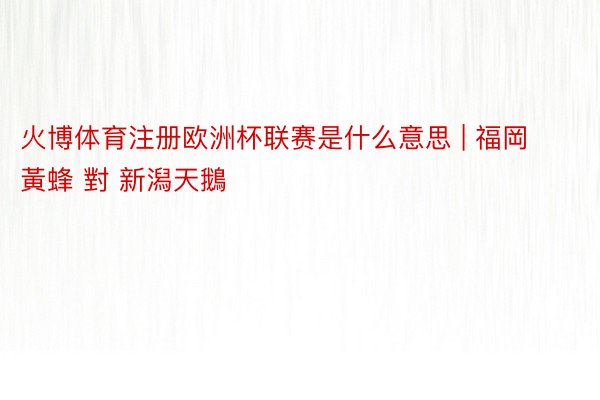 火博体育注册欧洲杯联赛是什么意思 | 福岡黃蜂 對 新潟天鵝