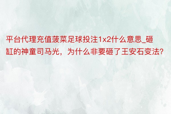 平台代理充值菠菜足球投注1x2什么意思_砸缸的神童司马光，为什么非要砸了王安石变法？